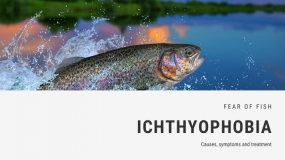 Fear of Fish Phobia - Ichthyophobia | FEAROF